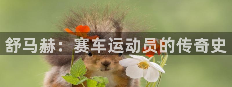 3377体育官方正版app代理:舒马赫:赛车运动员的传奇史