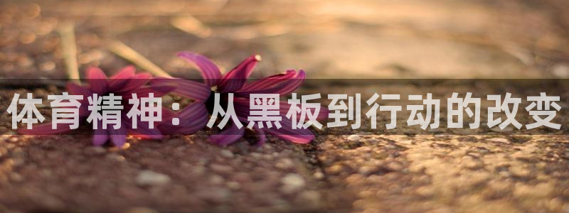 3377体育官网下载平台是正规平台吗安全吗:体育精神:从黑板